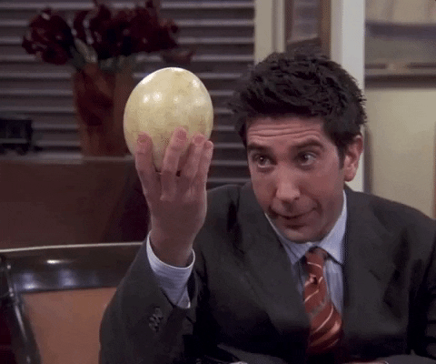 the one where estelle dies episode 15 GIF