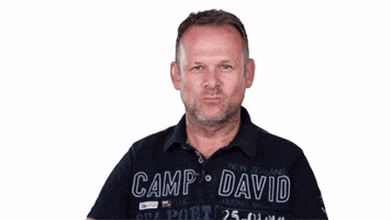 wernerharrer wernerharrer lichtmalermeister GIF