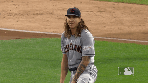 Regular Season Sport GIF by MLB