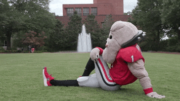 how you doin pointing GIF by University of Georgia
