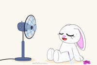 Cooling Down Hot Summer GIF