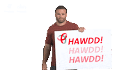 Jamie Roberts Reaction Sticker by PrincipalityBS