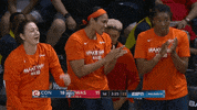 Womens Basketball Sport GIF by WNBA