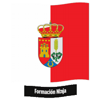 Castilla Y Leon Flag Sticker by Formación Ninja