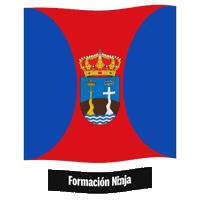 Castilla Y Leon Flag Sticker by Formación Ninja