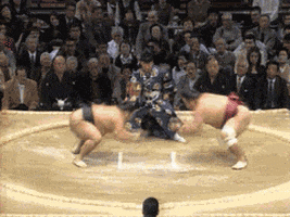 battle sumo GIF