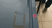 ourlifestyleshop  GIF