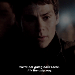 the scorch trials GIF