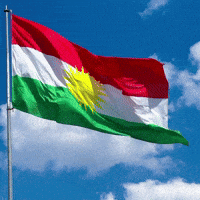 Flag Al GIF