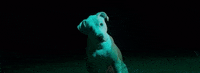 Ari Lennox Dog GIF by Interscope Records