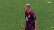Liga Mx Football GIF by MiSelecciónMX