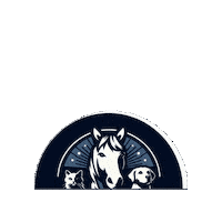 Vets Biotecnologia Sticker by Regenevets