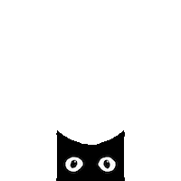 Bautzfestival lüdenscheid bautz bautz festival bautz bautz bautz Sticker