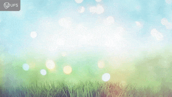 Summer Time Flowers GIF by University of the Free State