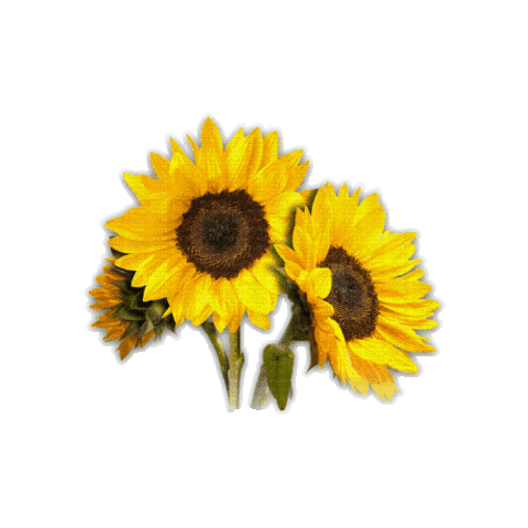Flower Love Sticker by CEP PERPETUO SOCORRO