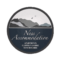 nessaccommodation ness ness accommodation nessaccommodation Sticker