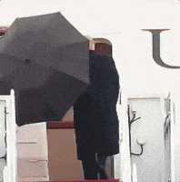 Raining Donald Trump GIF
