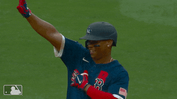 Red Sox Sport GIF by MLB
