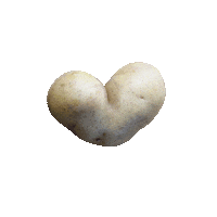 Food Cooking Sticker by vegpan