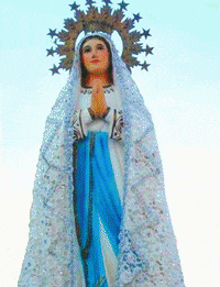 mery GIF