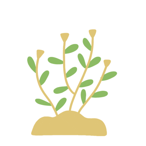 Grow Summer Time Sticker
