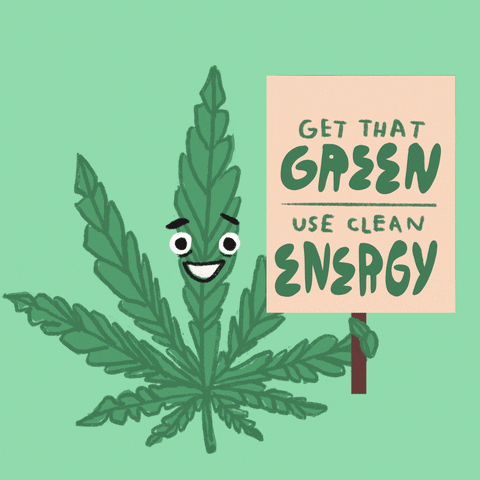 Text gif. Green, smiling leaf of marijuana on a green background holding a green picket sign that says "Get that green, use green energy."