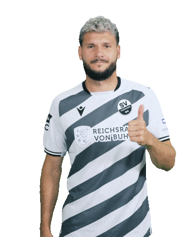 3Liga Sticker by SV Sandhausen