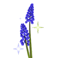 Coentron flowers the other side retro flowers coentron Sticker