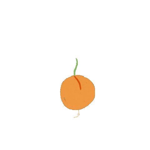 Plant Grow Sticker