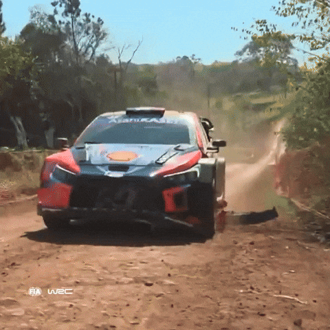 Damaged Car GIF by FIA World Rally Championship