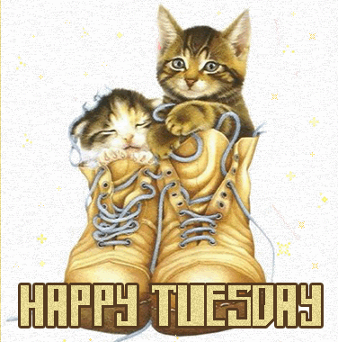 Happy Tuesday GIF