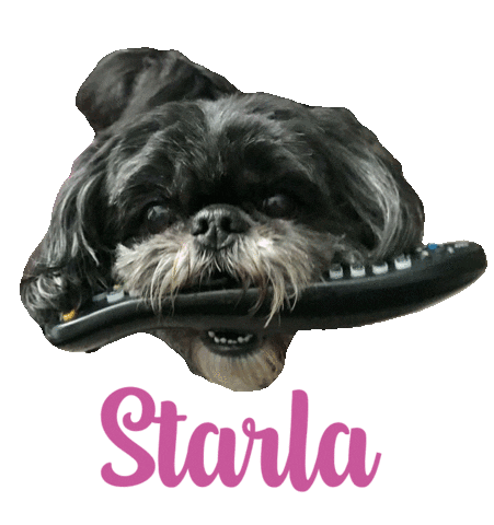 Dog Starla Sticker