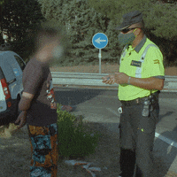 Car Cop GIF by DMAX