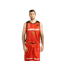 Sport Coviran Sticker by Fundación Club Baloncesto Granada