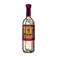 Mexico Oaxaca Sticker by Recuerdo Mezcal