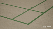 londerzeelbadminton win badminton lob for the win GIF