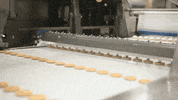 behind the scenes animation GIF by Photojojo