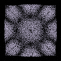 black and white loop GIF by roberthruska