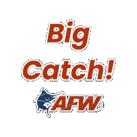 Catch And Release Fish Sticker by AFW Fishing Brands