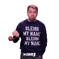 Merry Xmas Wtf Sticker by SWR3