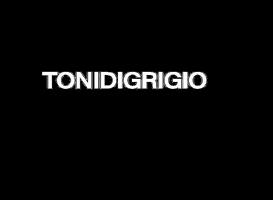 _tonidigrigio tdg tonidigrigio GIF