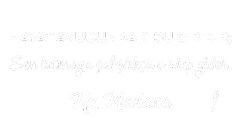 Mevlana Sticker
