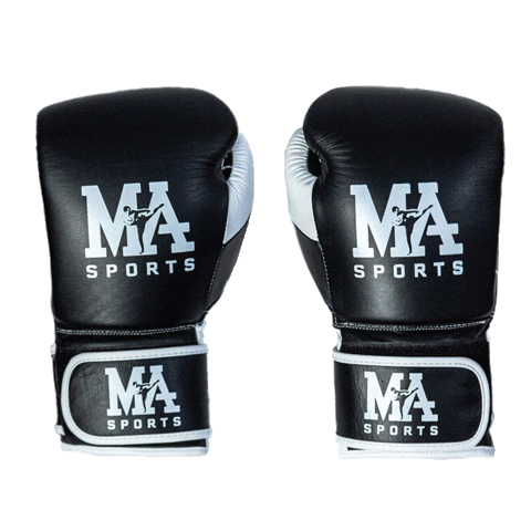masports boxing gloves boksen leeuwarden Sticker