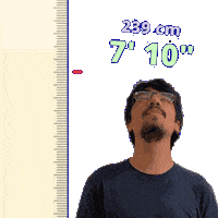 7 Foot 7Ft Sticker