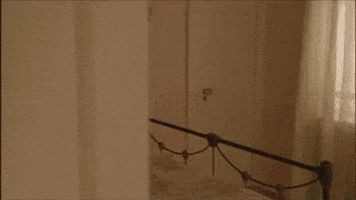 rocom giphyupload twin peaks bob GIF