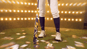 College Sports Sport GIF by LSU Tigers