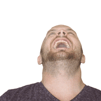 wheels2walking funny lol laugh laughing GIF