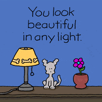 You Are Beautiful Love GIF by Chippy the Dog