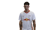 Dont Like Oh No Sticker by RB Leipzig