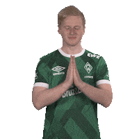 Thanks Thank You Sticker by Bundesliga